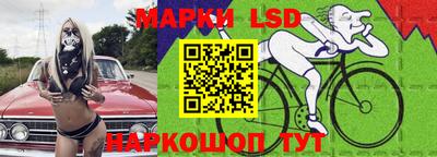 стаф Берёзовский