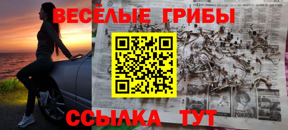 Галлюциногенные грибы мицелий Звенигород